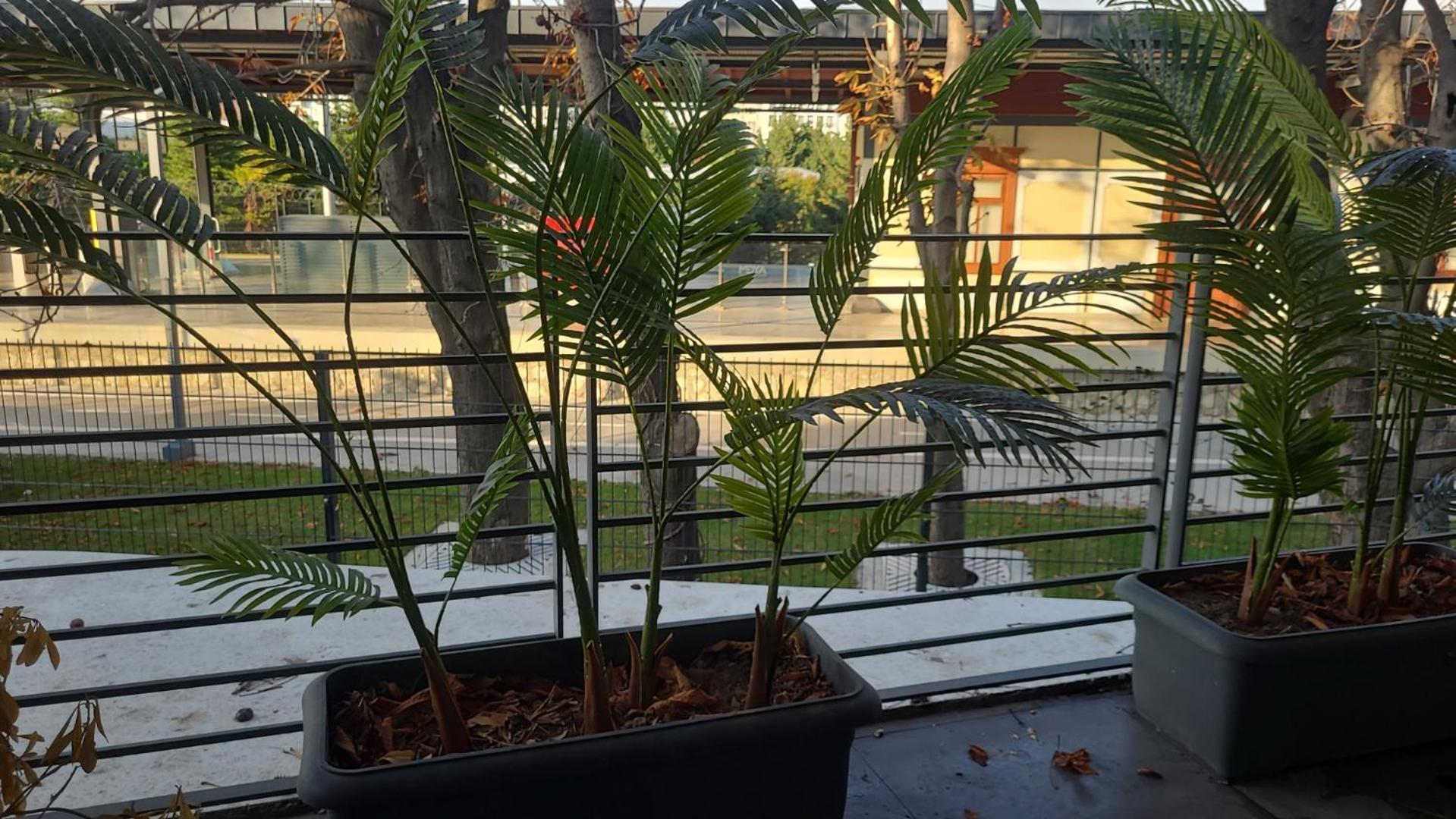 Hotel Bella 3 Istanbul