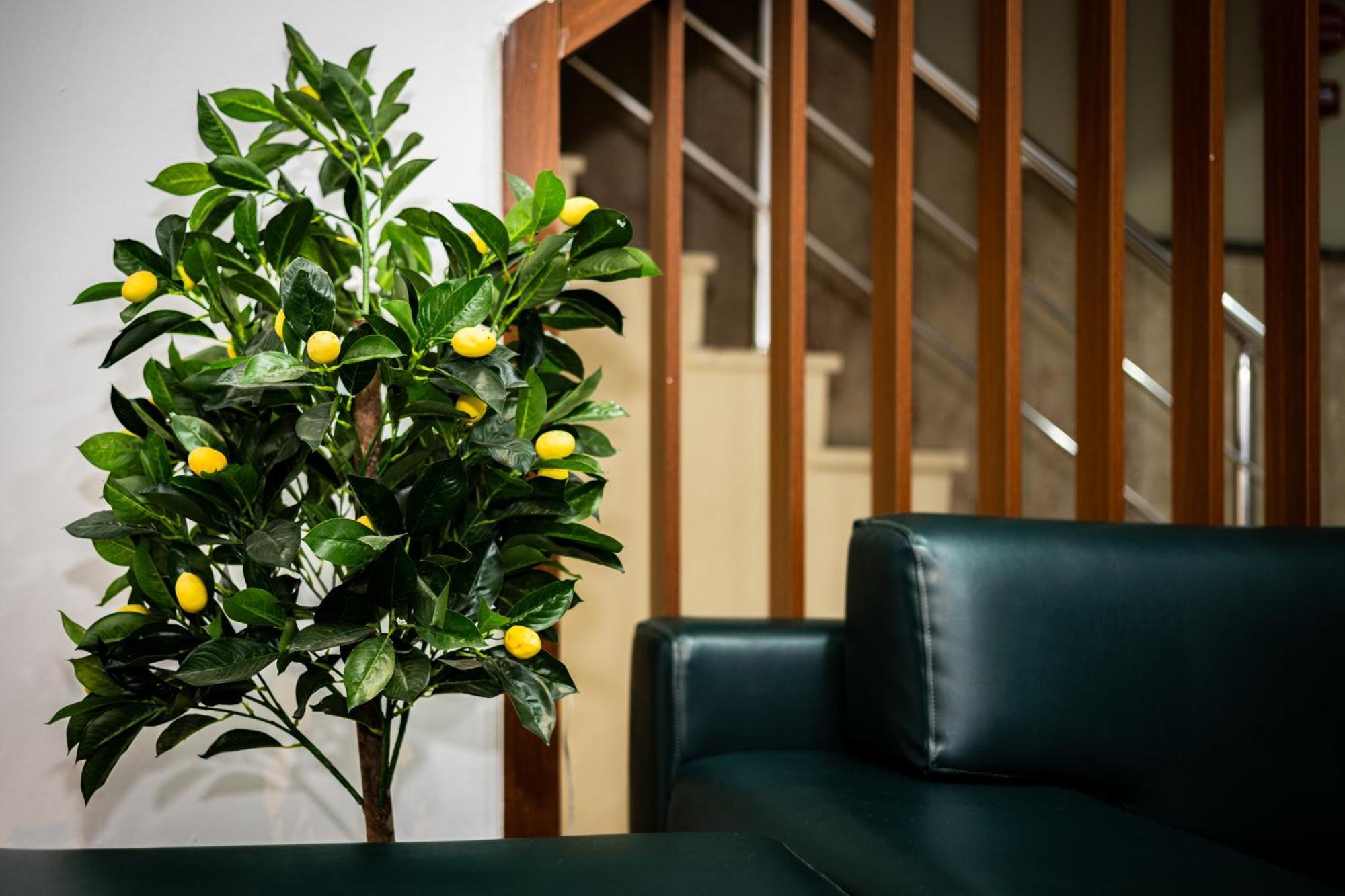 Senyor Garden 3* Istanbul