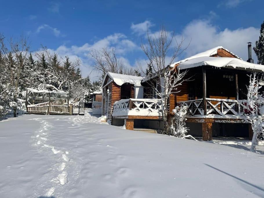 Villa Elbasan *