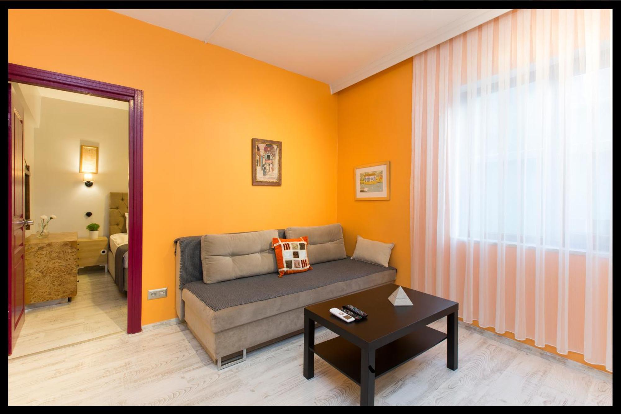 Istanbul Apartment Apartment