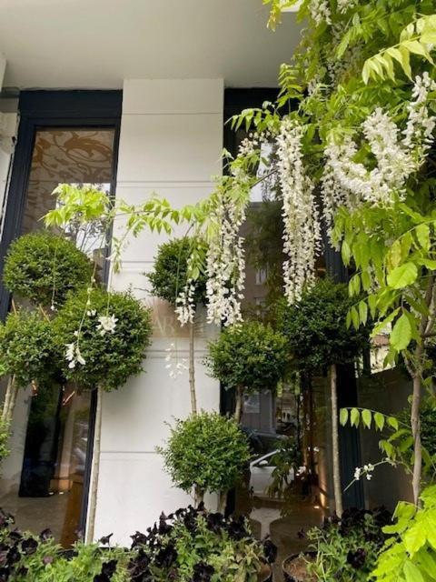 Ab Residences -cihangir Luxury Sapphire *