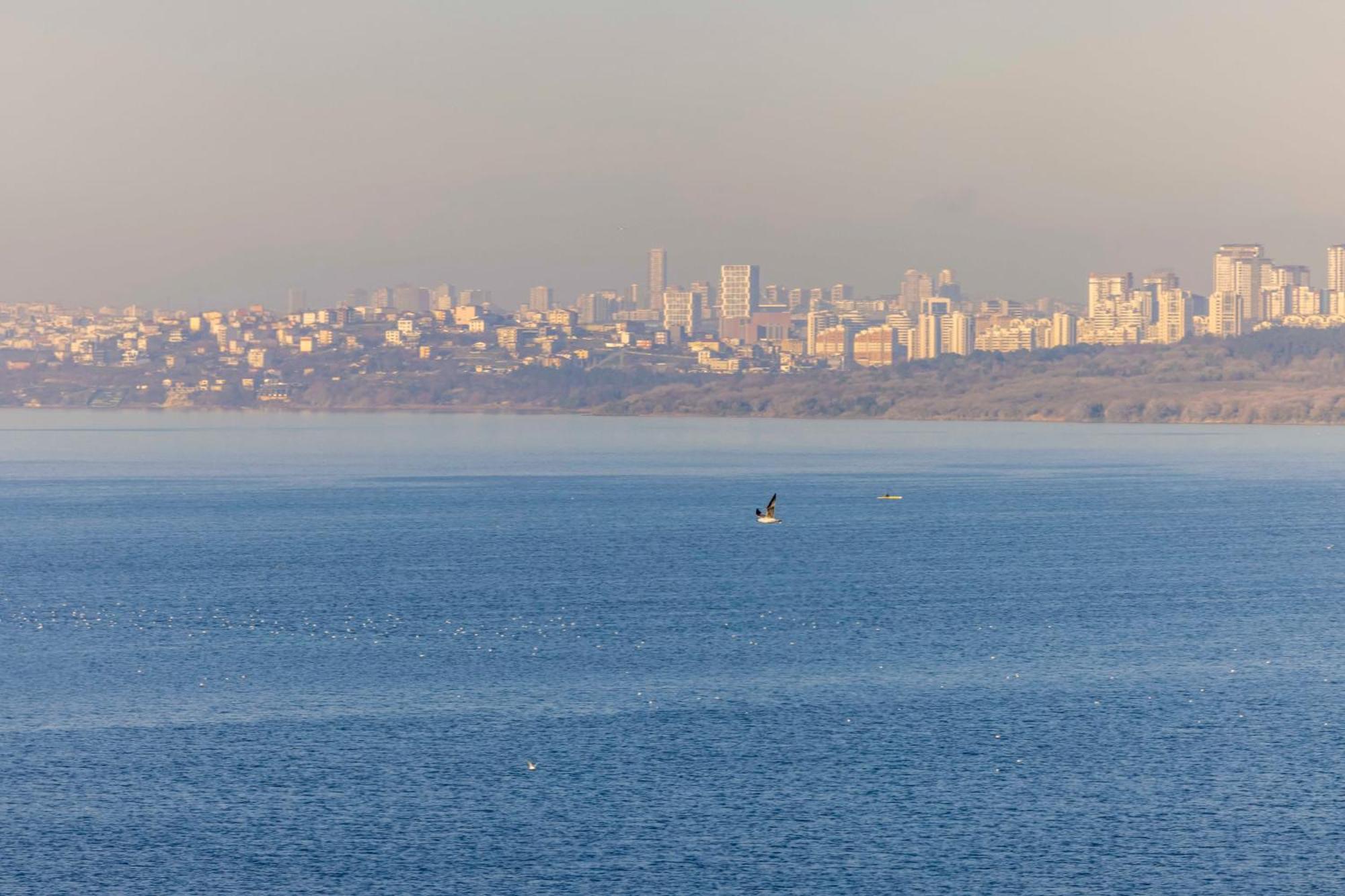 Ezkar Bathonea Art Istanbul