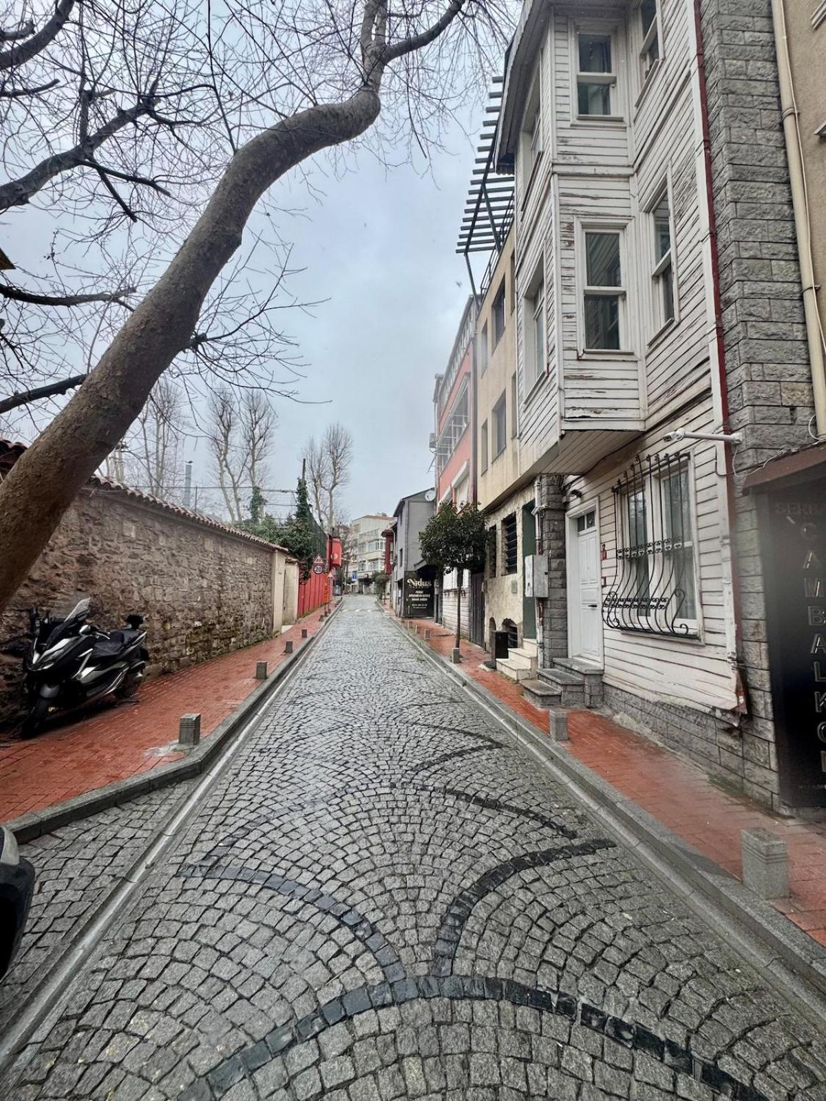 Historic White Mansion Bosphorus & Church View Istanbul