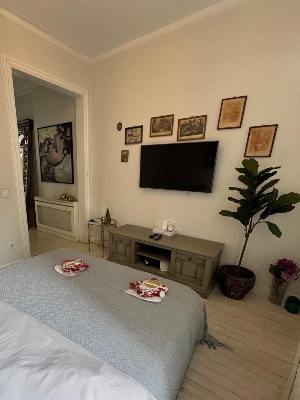 Historic White Mansion Bosphorus & Church View Holiday home Istanbul
