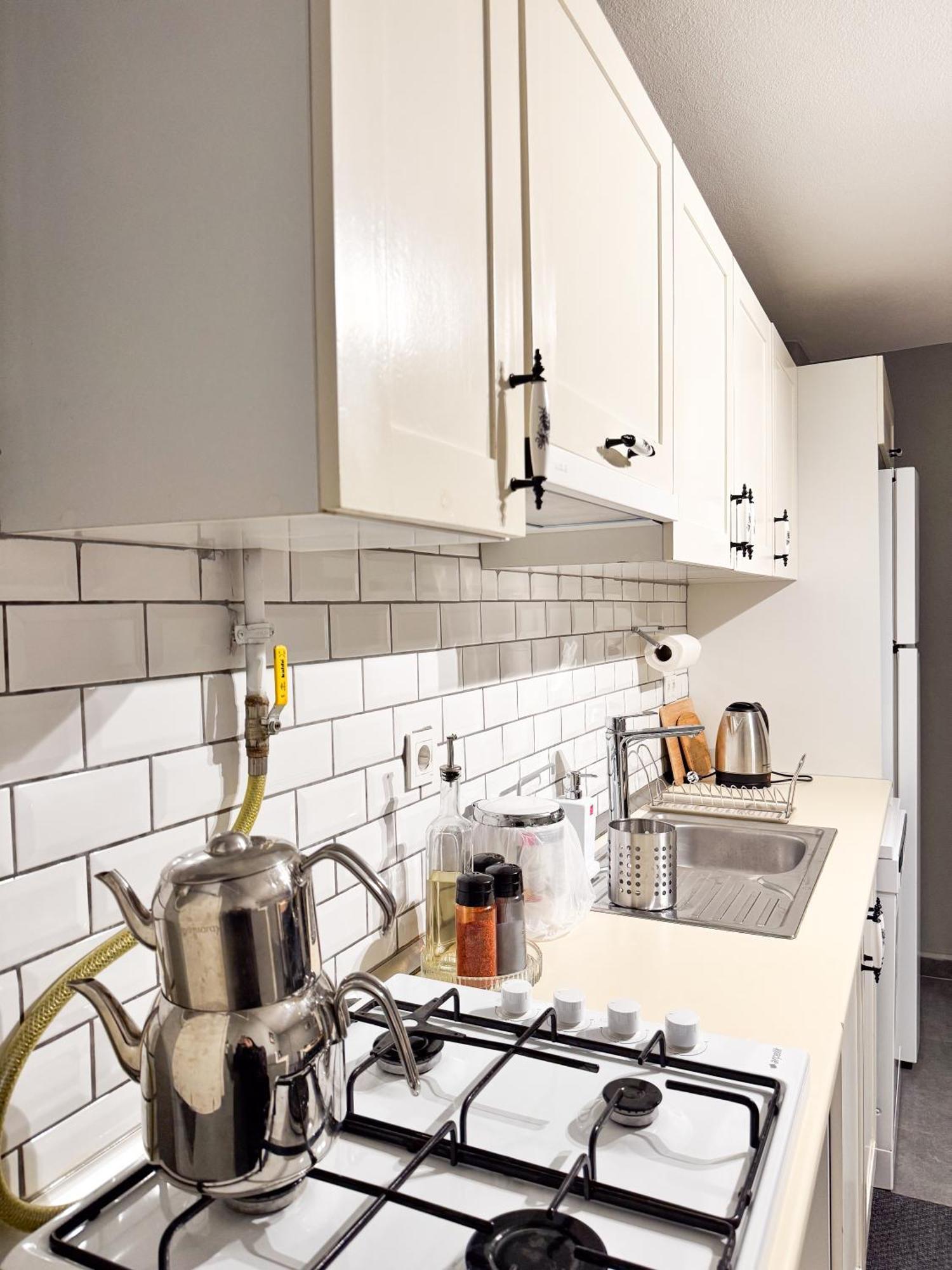 Modern Furnished Historical Building
