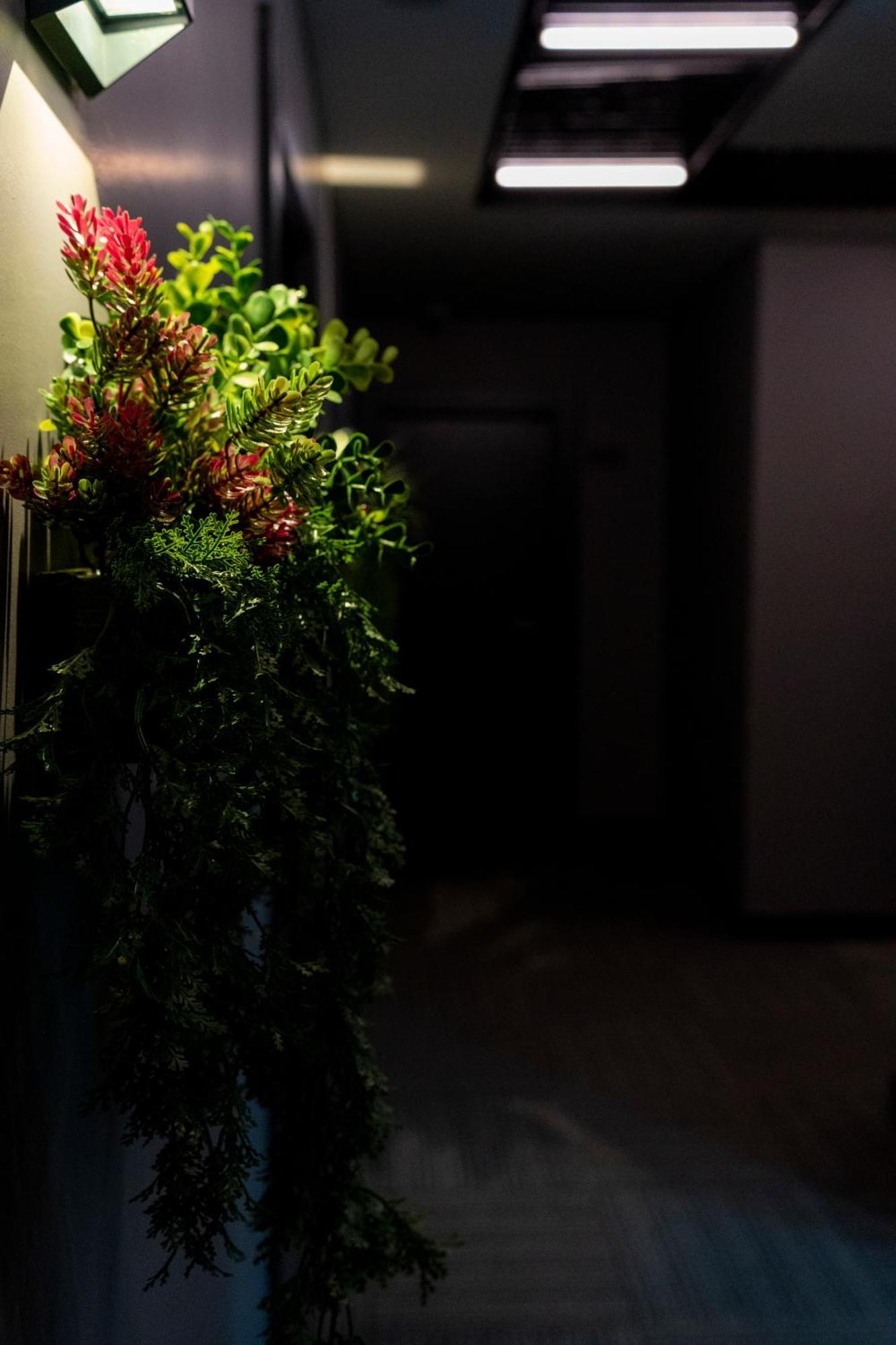Brandroom Hotel 3*