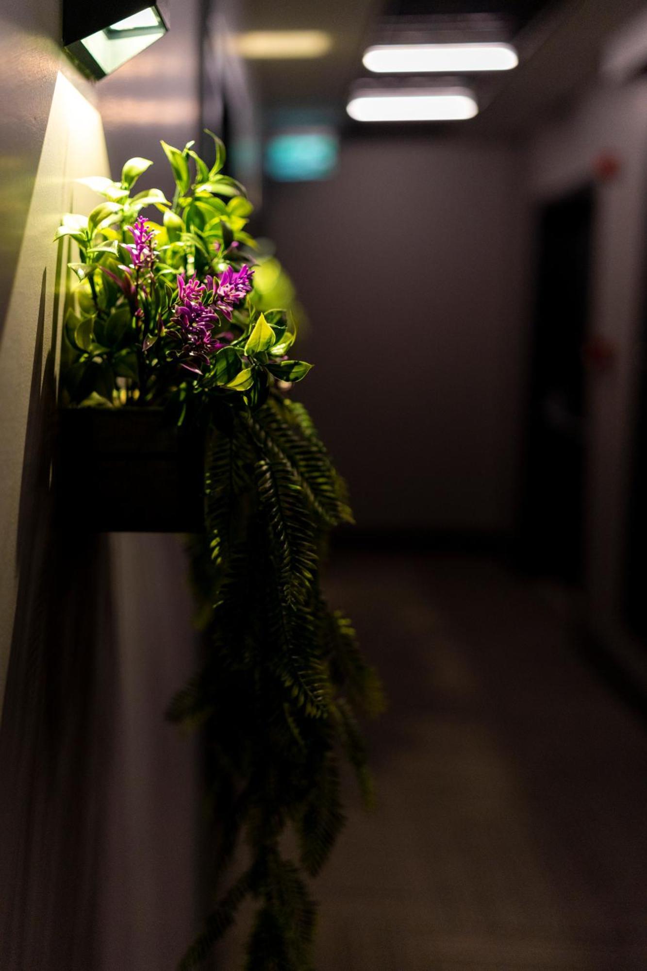 Hotel Brandroom 3*