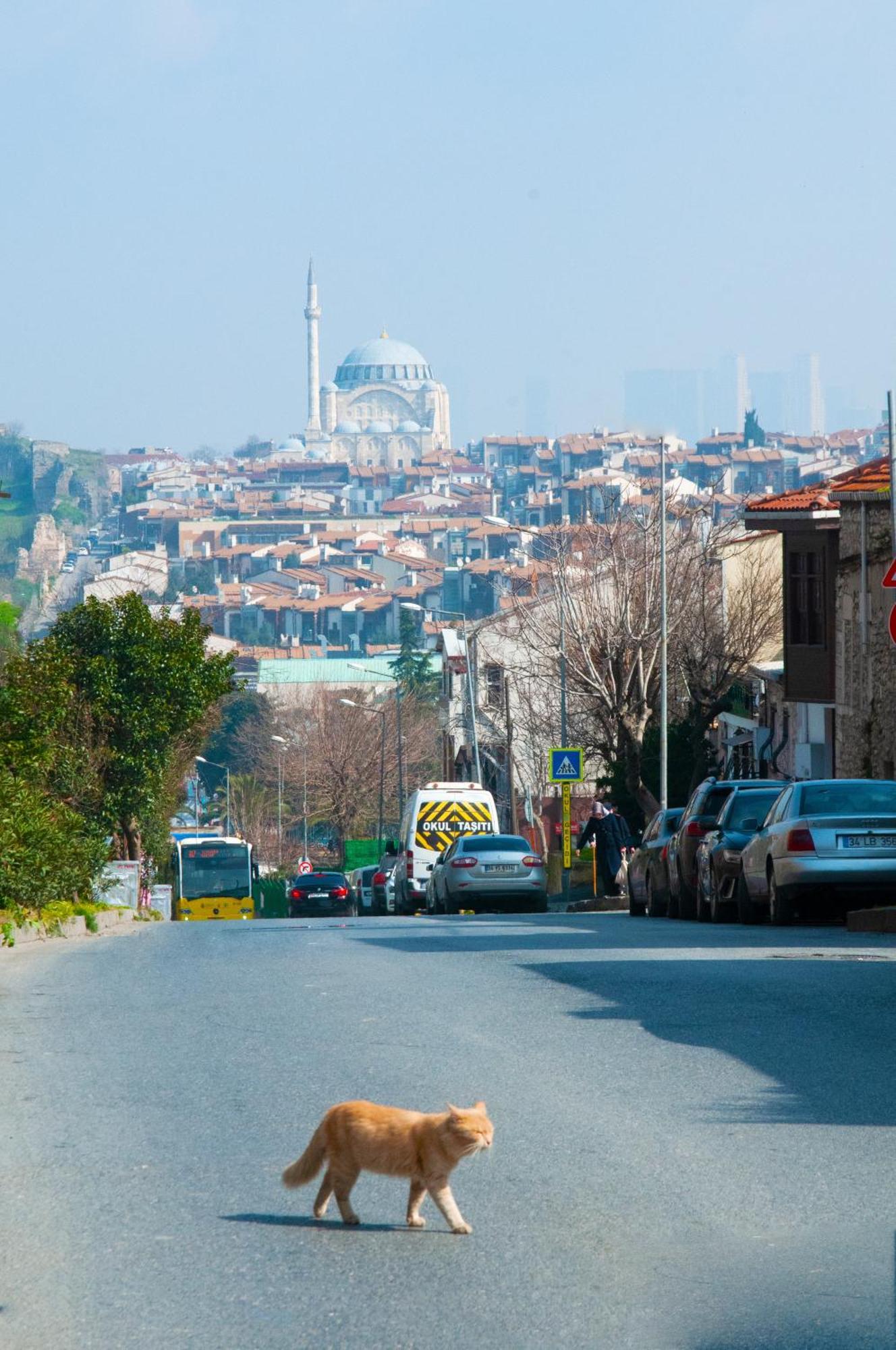 Efes Hotel Istambul