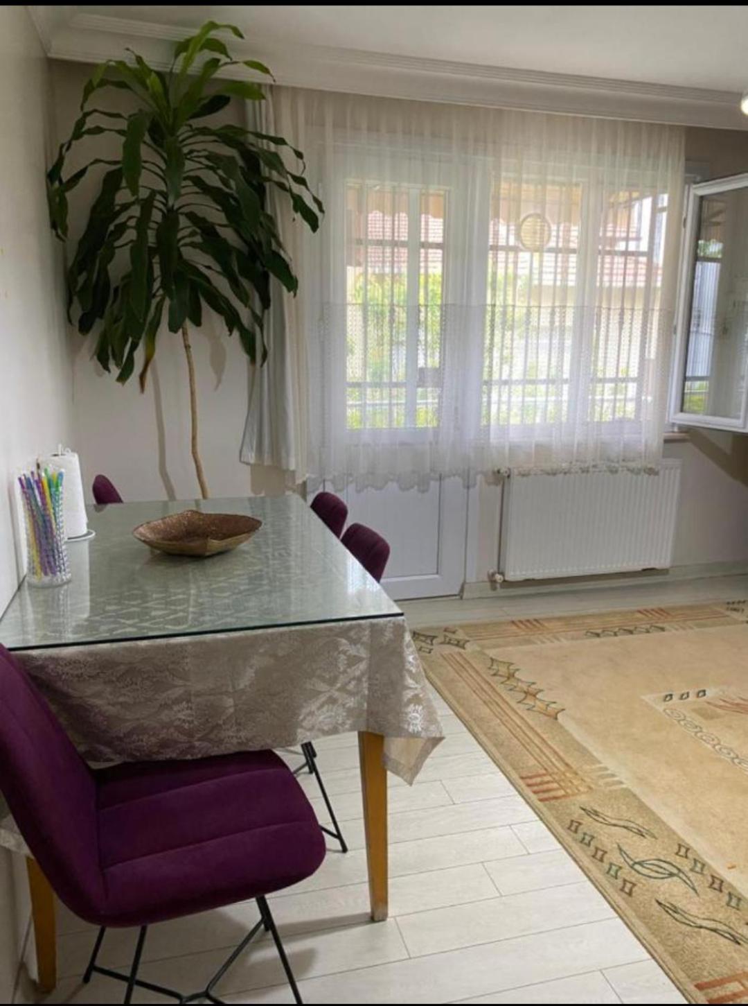 Family House *