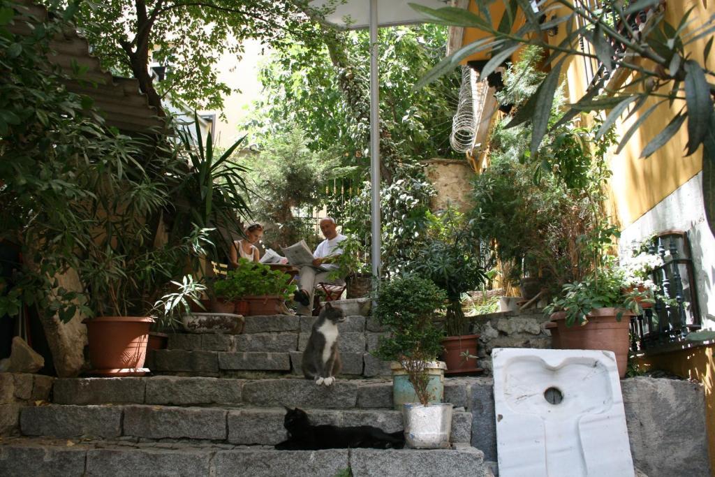 Bed & Breakfast Noble House Galata Istanbul