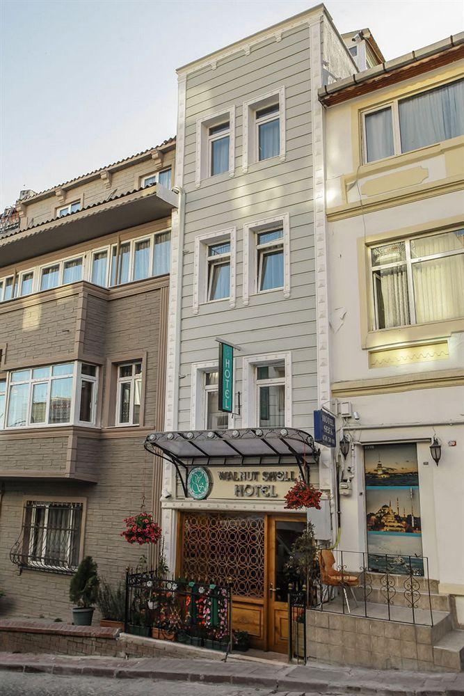 Walnut Shell Sultanahmet Istanbul