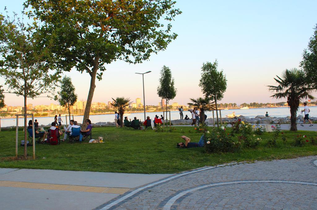 Daire D&d İstanbul