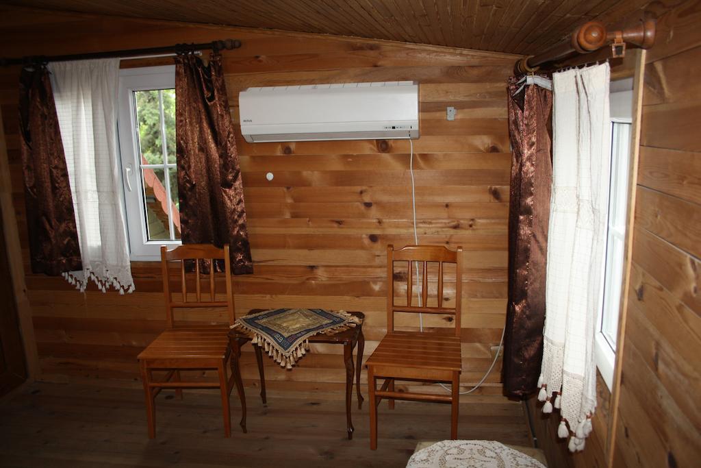 Coskun House