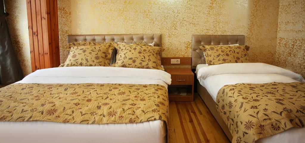 Hotel Theodian