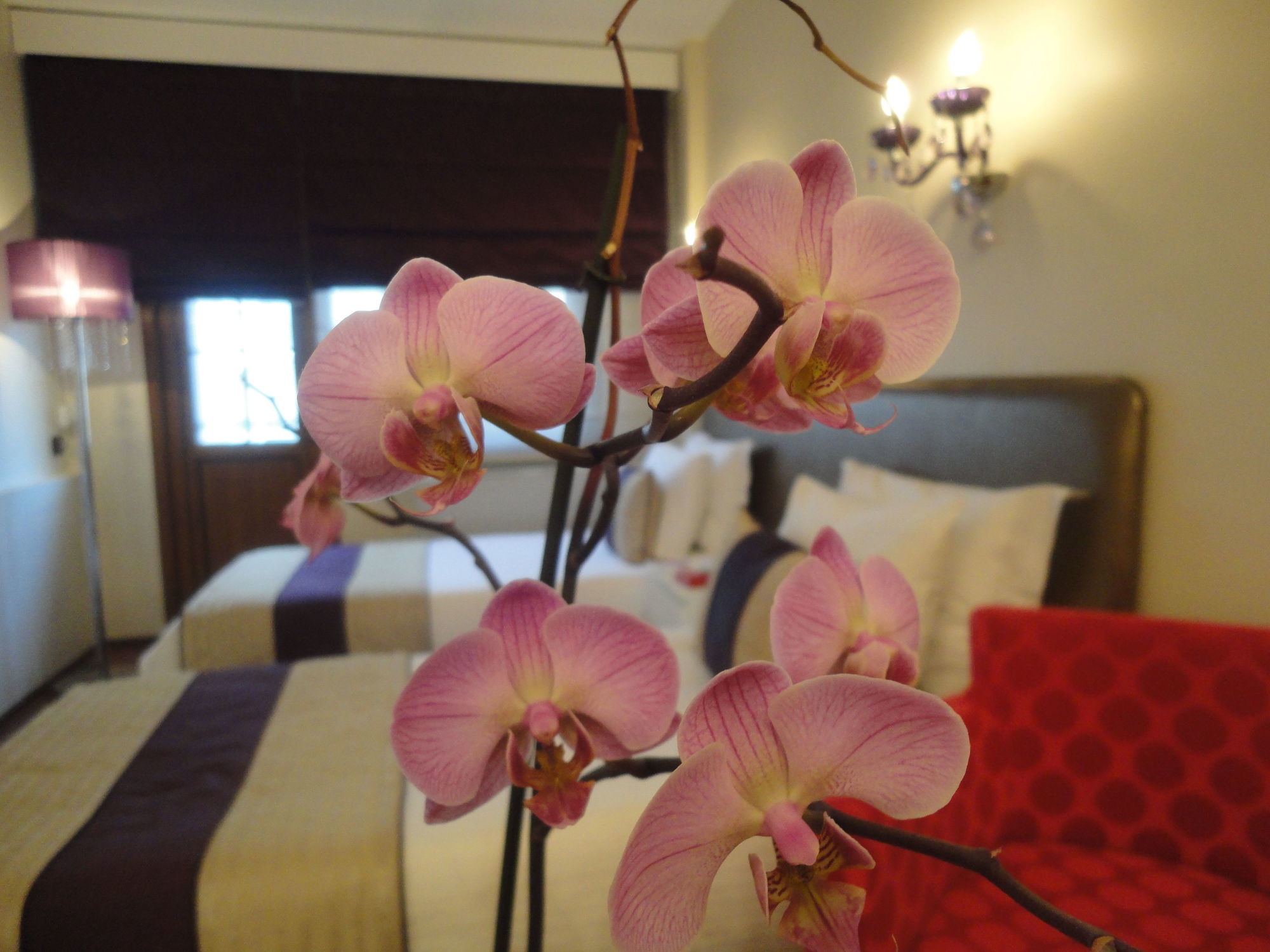 Bakirkoy Tashan Business & Airport İstanbul