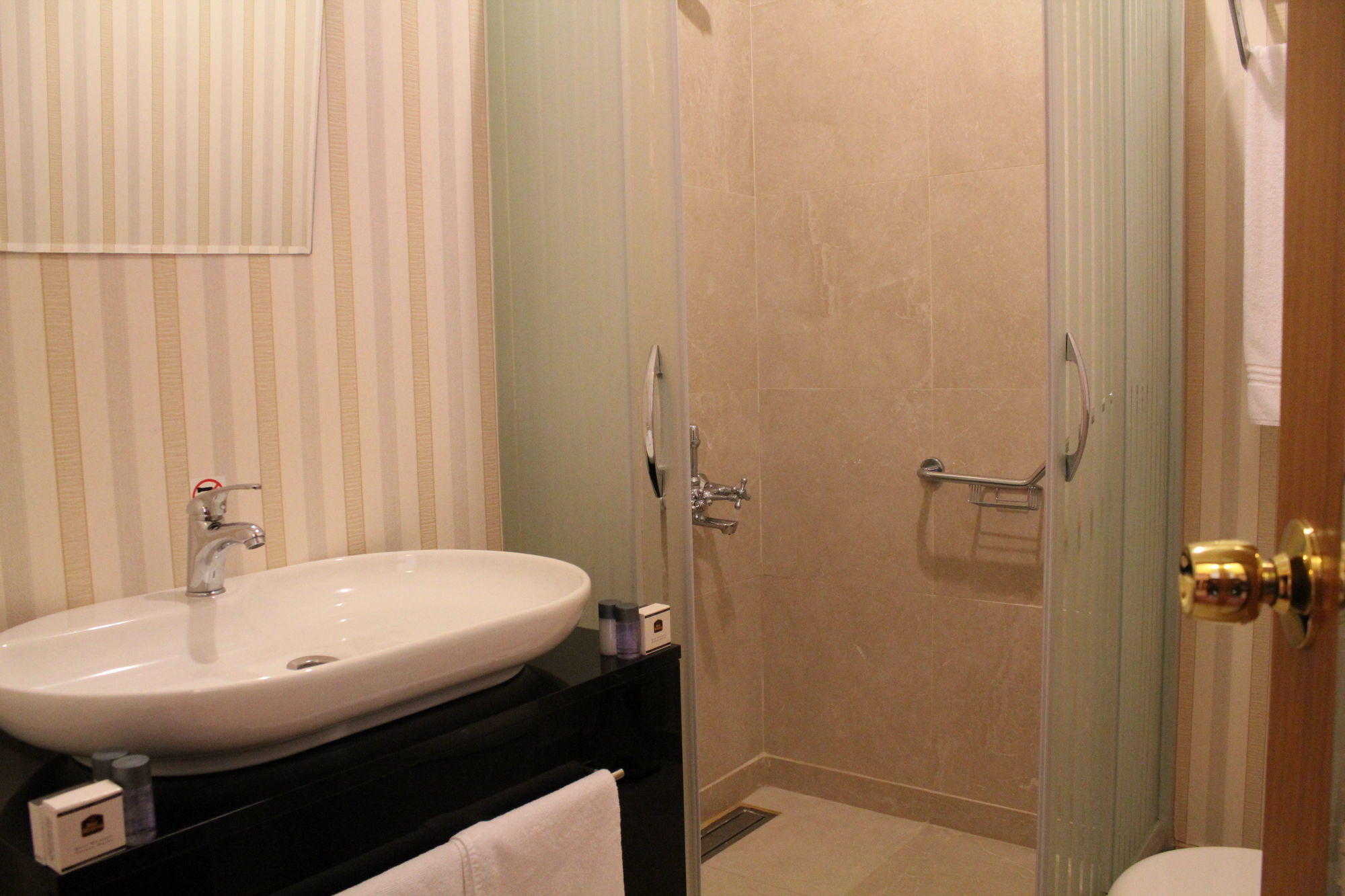 Otel Bakirkoy Tashan Business & Airport
