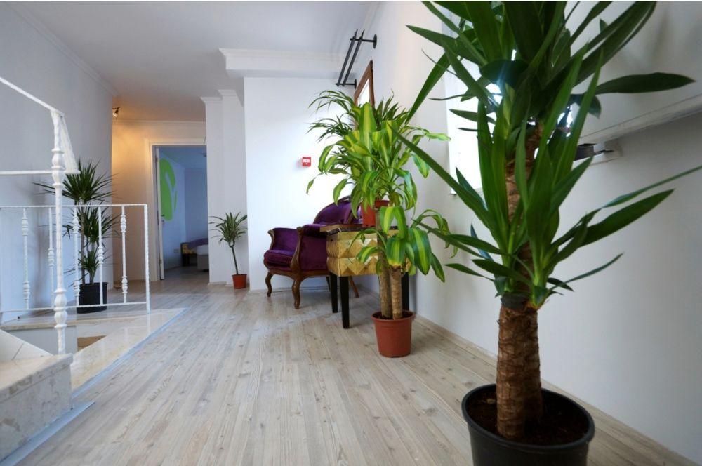 Bed & Breakfast Corner Living Space