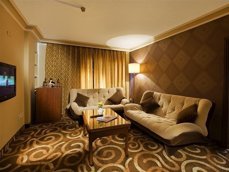 Hotel Buyuk Sahinler Istanbul
