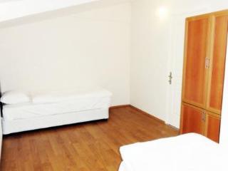 Akin 3*