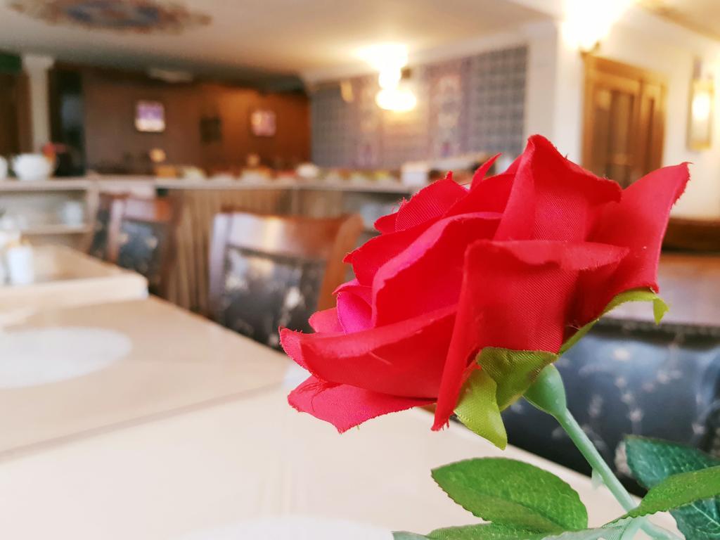 Hotel Aldem 3*