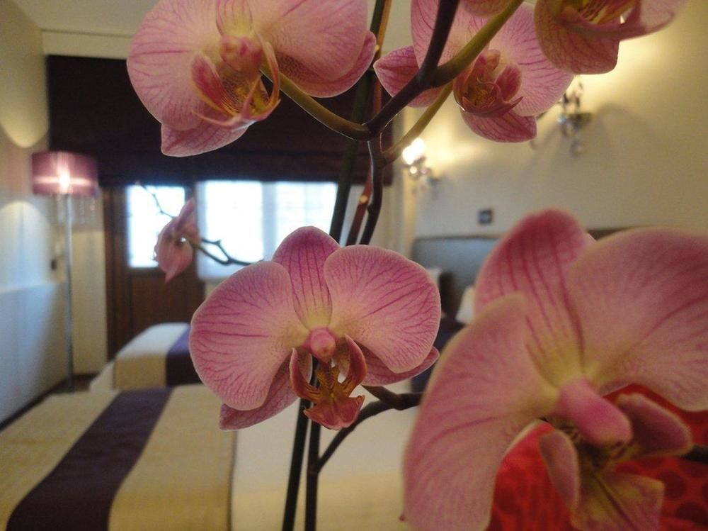 Bakirkoy Tashan Business & Airport Otel 2*