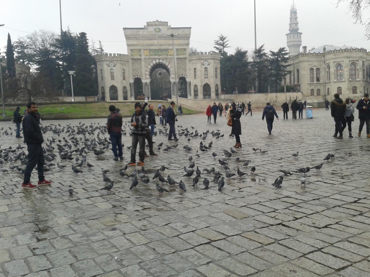 Polanin