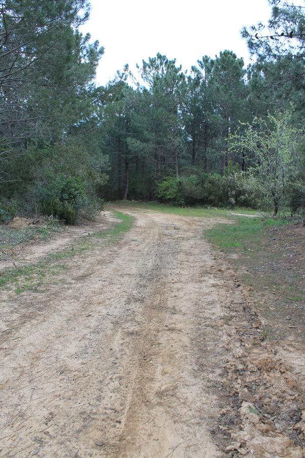 Sahil Kamp Campsite *