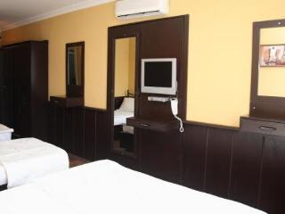 Arasta Guest house 3*
