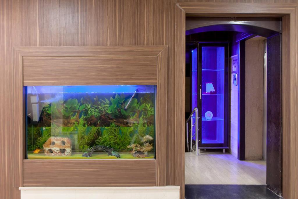 Hotel Lal 3*