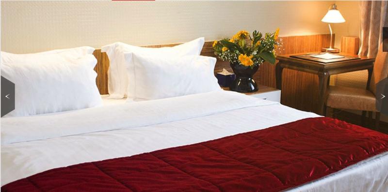 Elite Dragos Hotel 5*