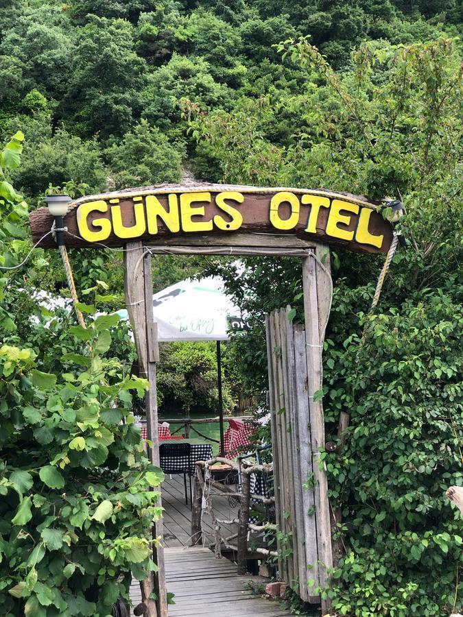 Agva Gunes