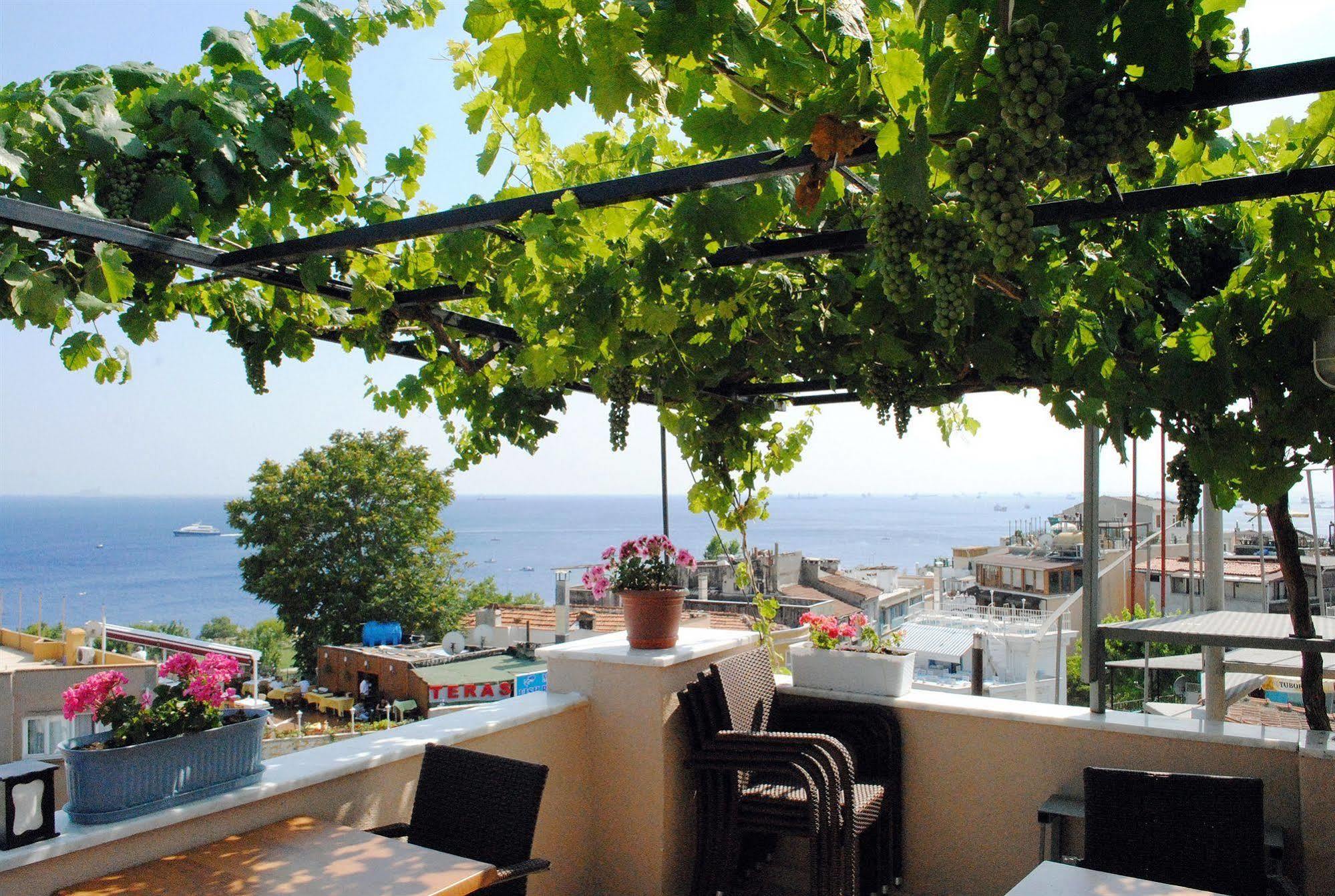 Buhara Family Hotel 3*