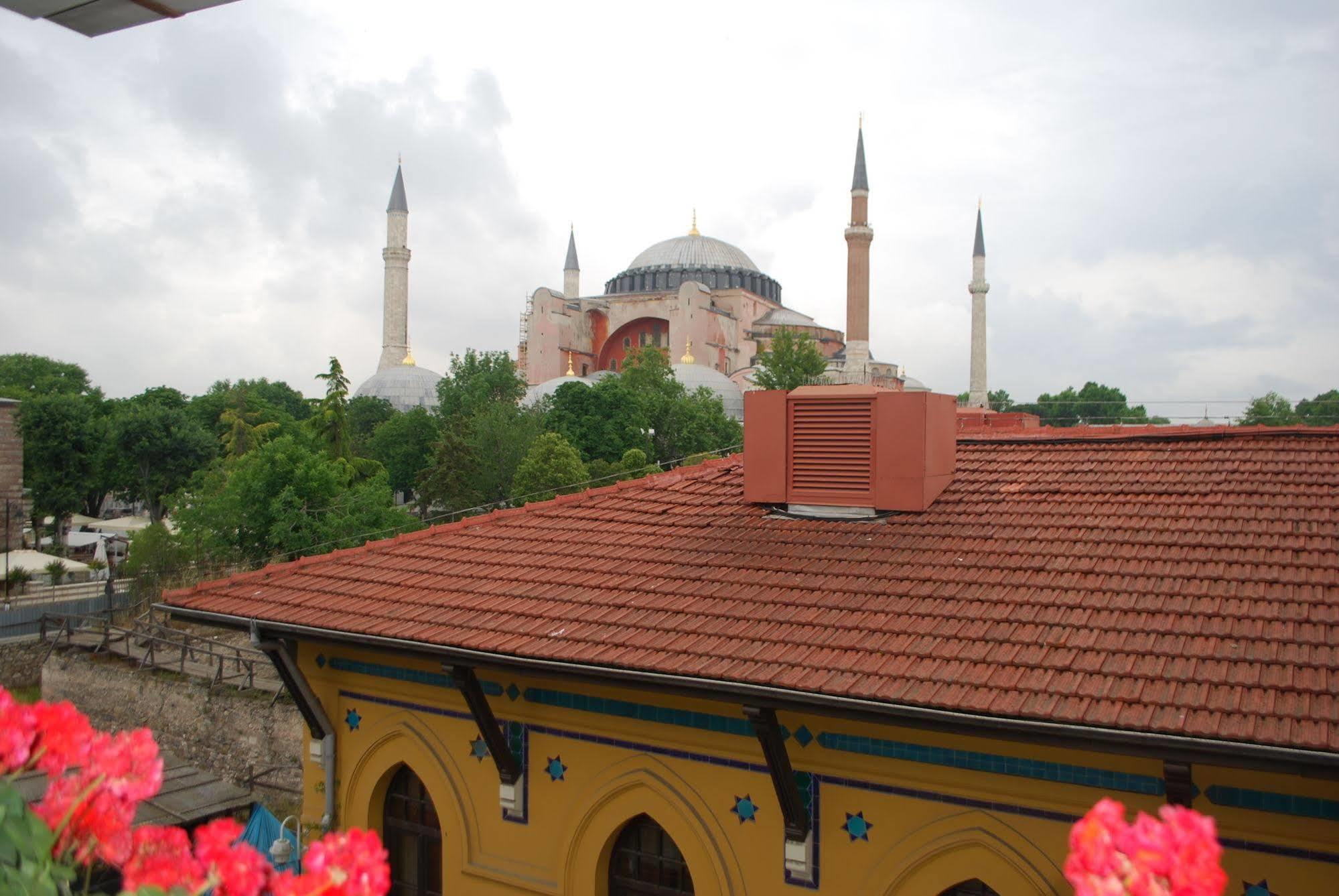 Med Cezir İstanbul