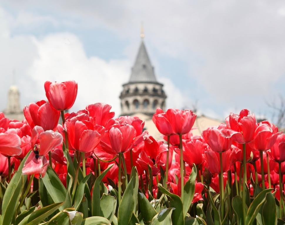 Ar Istanbul