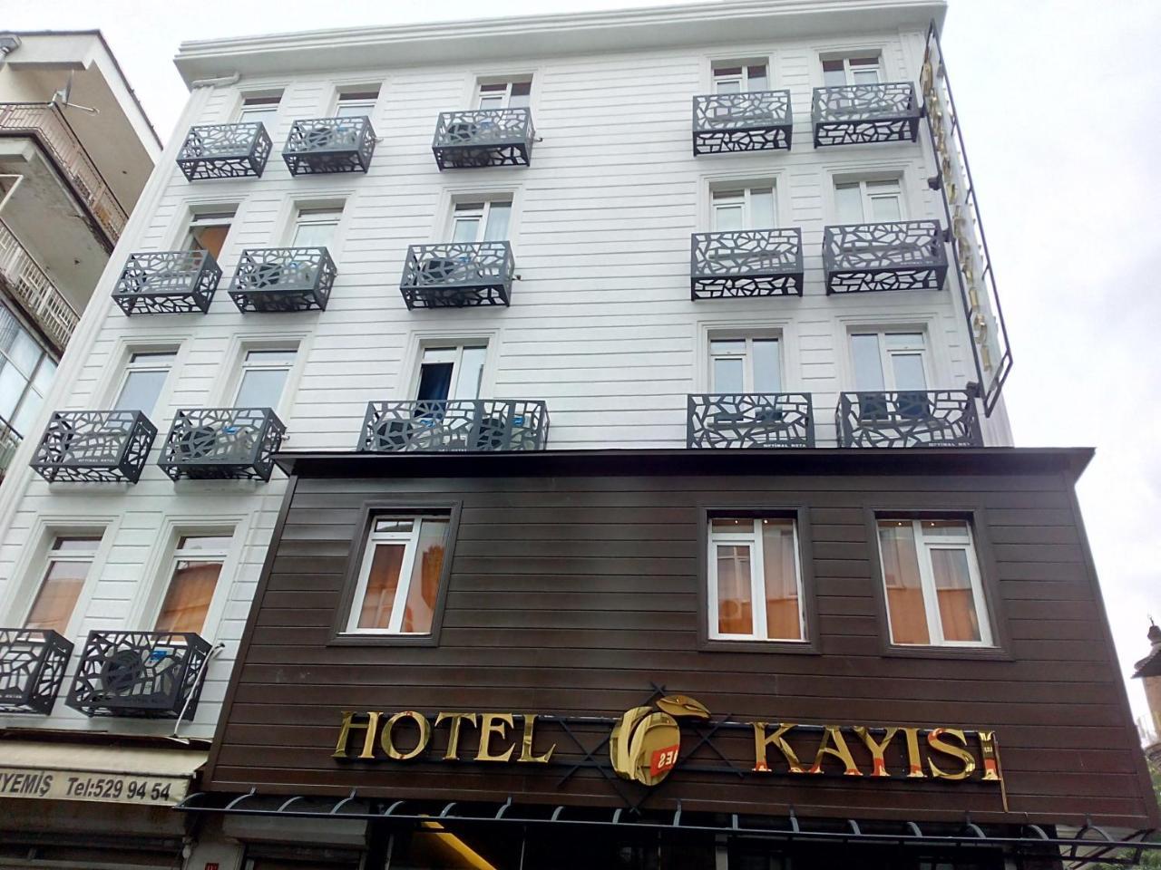 Kayisi 3*
