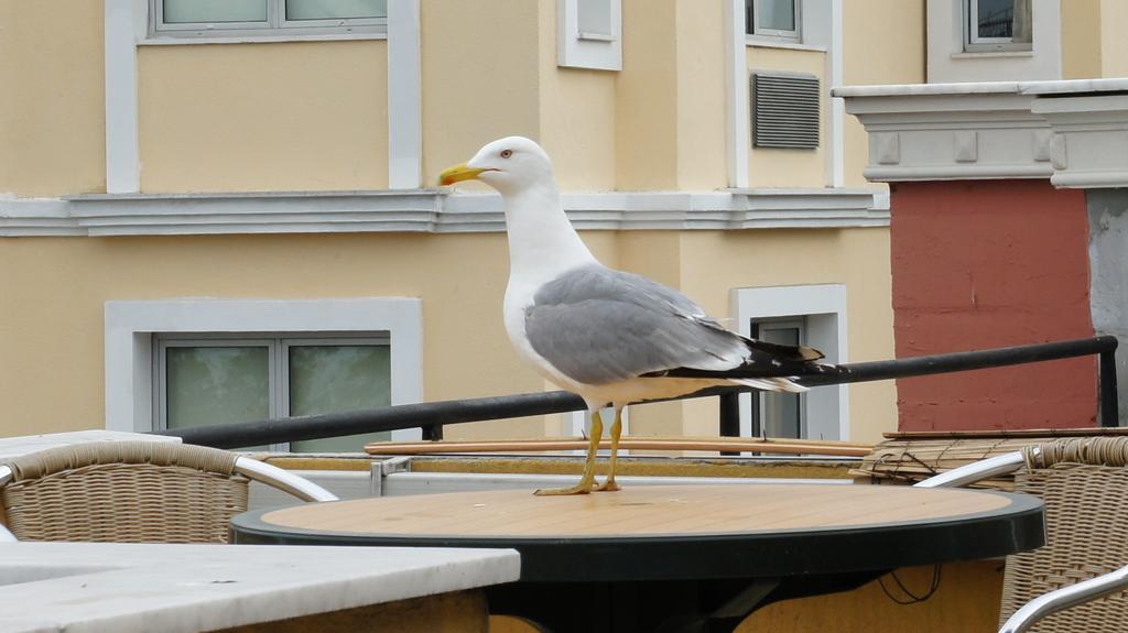 Hotel Dom Istanbul