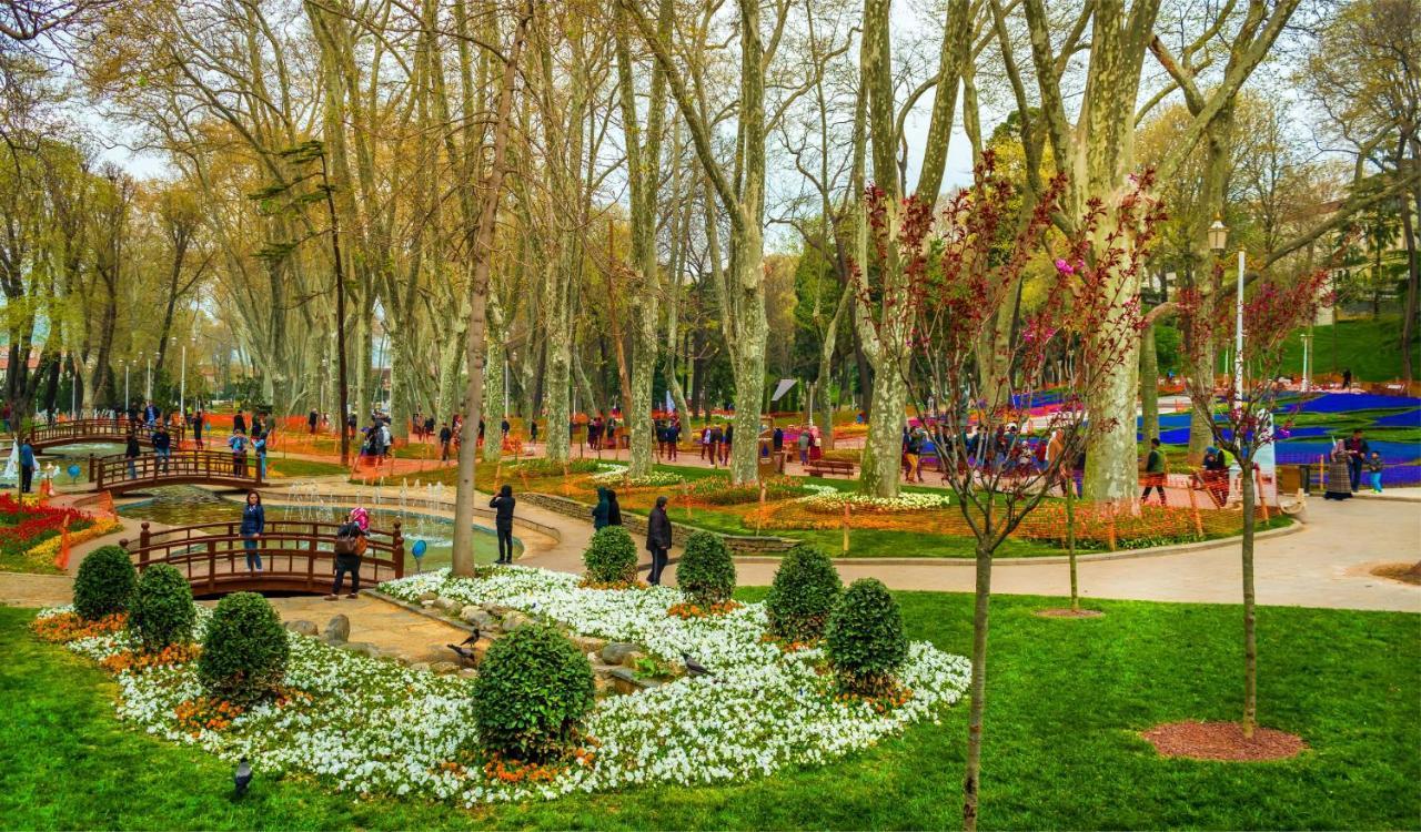 Vizyon Istanbul