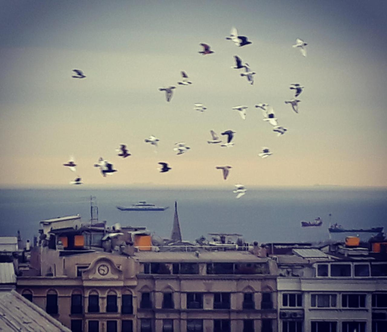 Hivas Hotel