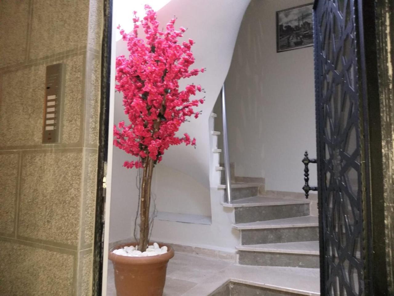 Pera Colour House 2* Istanbul