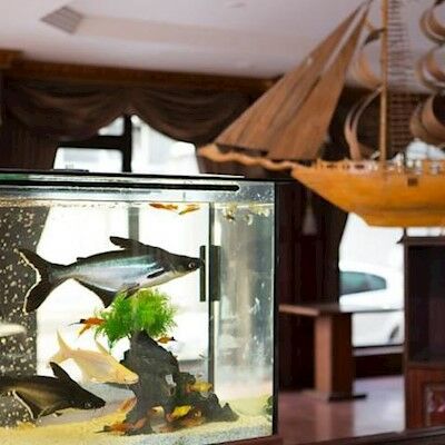 Hotel Buyuk Hamit 3*