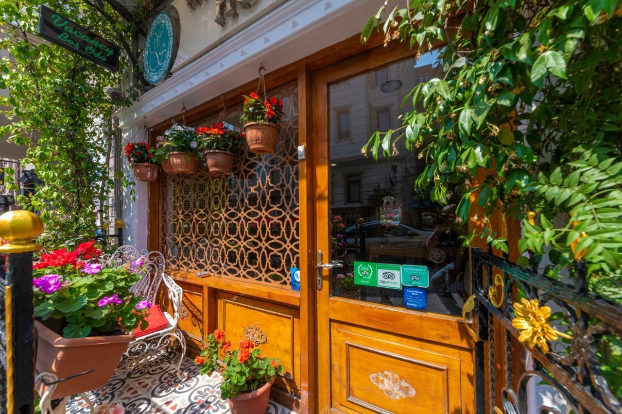 Walnut Shell Sultanahmet Istanbul