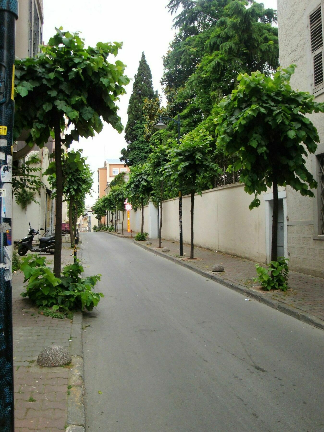 Aparthotel Carme 2