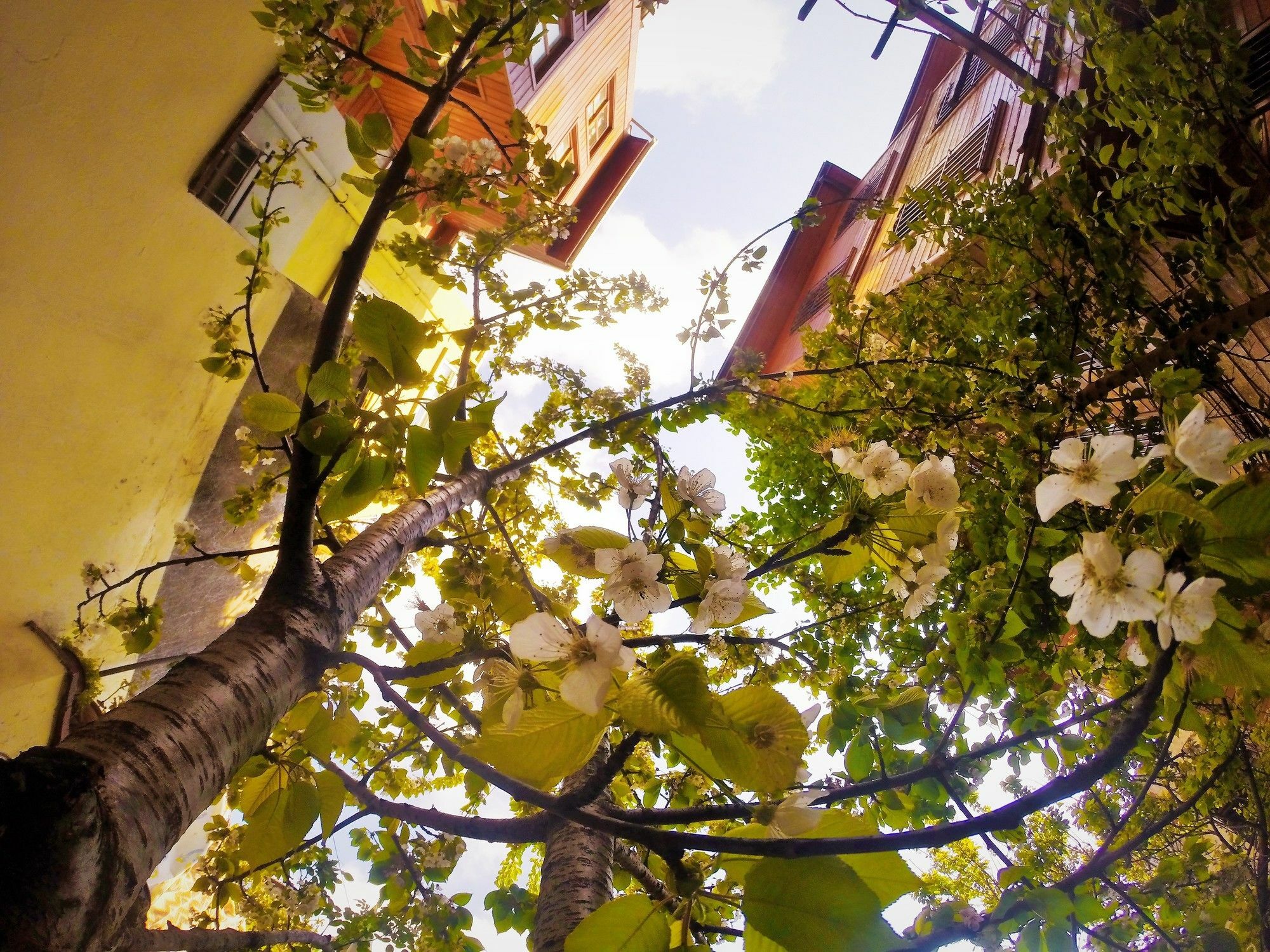 Ottoman's Pearl Bed & Breakfast 3*