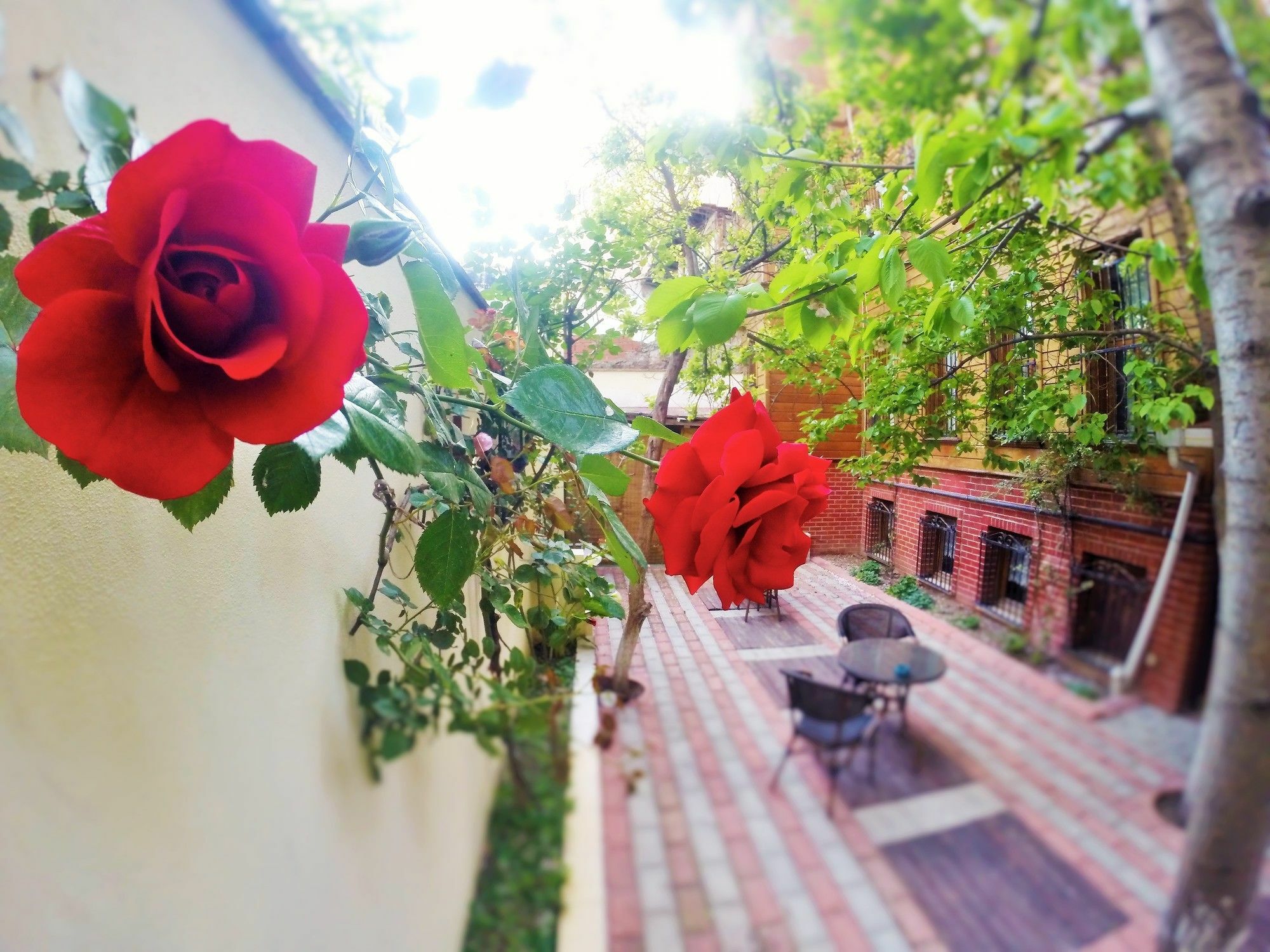 Bed & Breakfast Ottoman's Pearl Istanbul