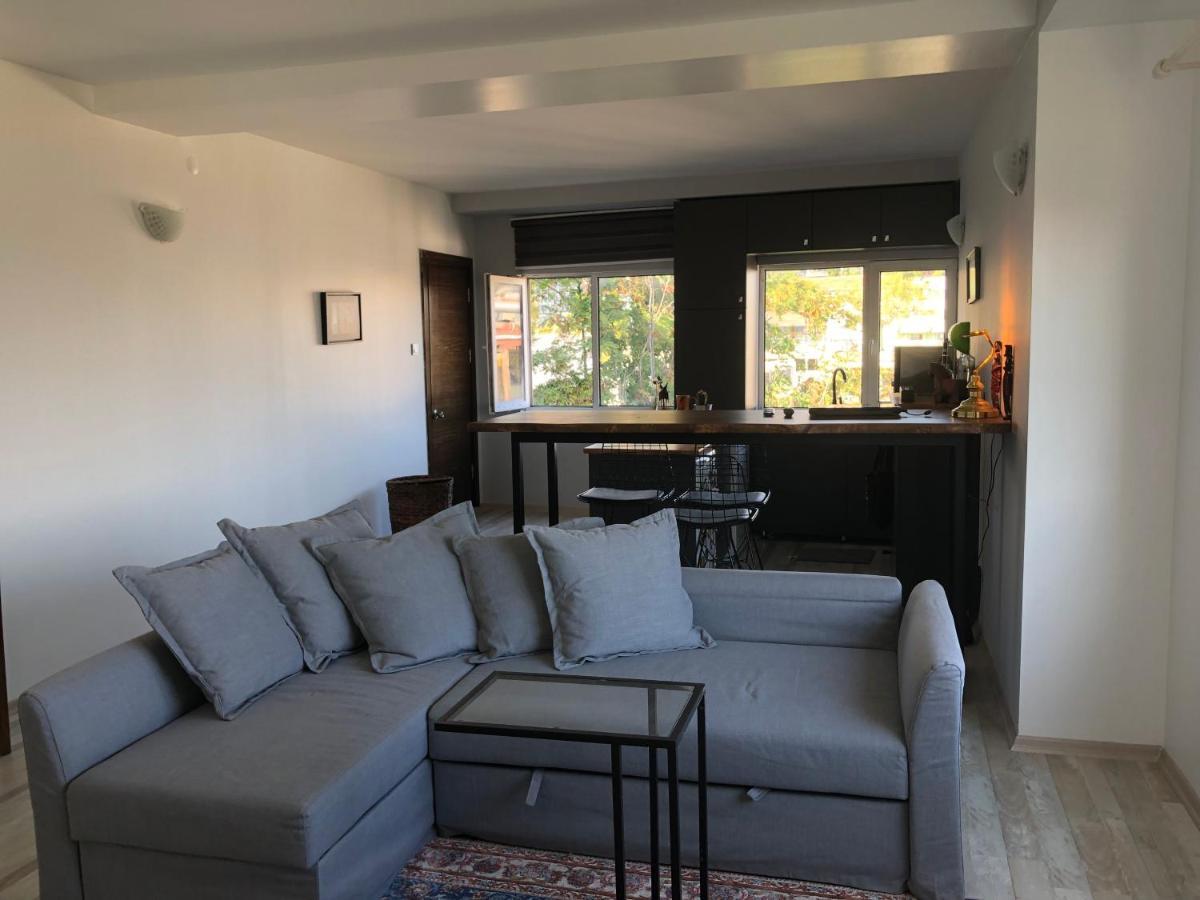 Cihangir, Taksim, Bosphorus View Apartment