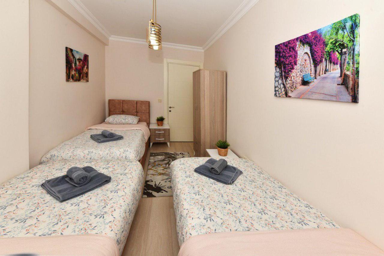 Lion Apartment
