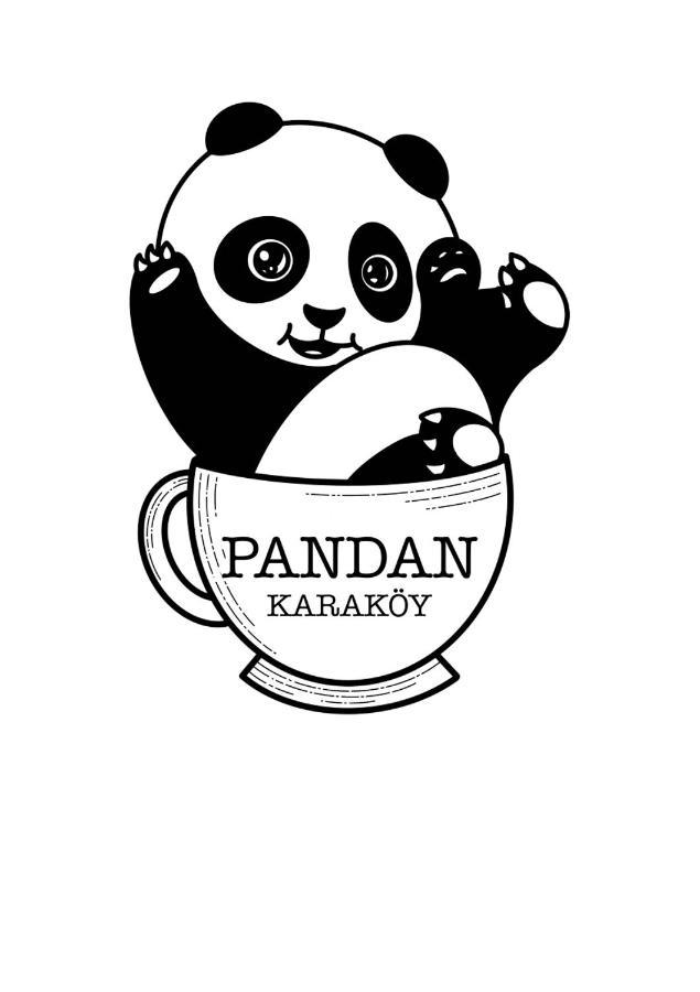 Pandan Karakoy 3*