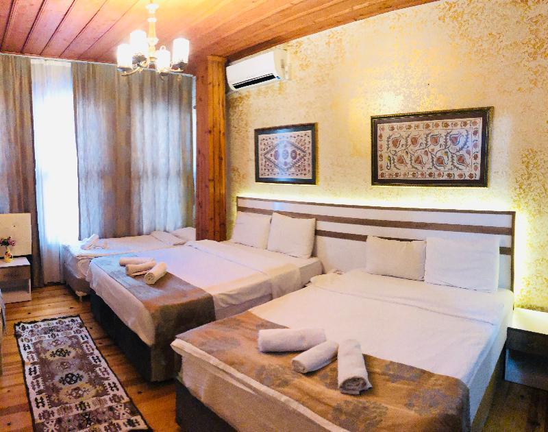 Hotel Theodian 3*