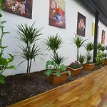 Almina inn Hotel