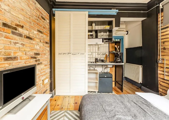 Modern Designed Cozy Studio Flat In Beyoglu